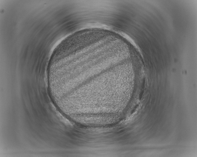 X0000070860791200607071856