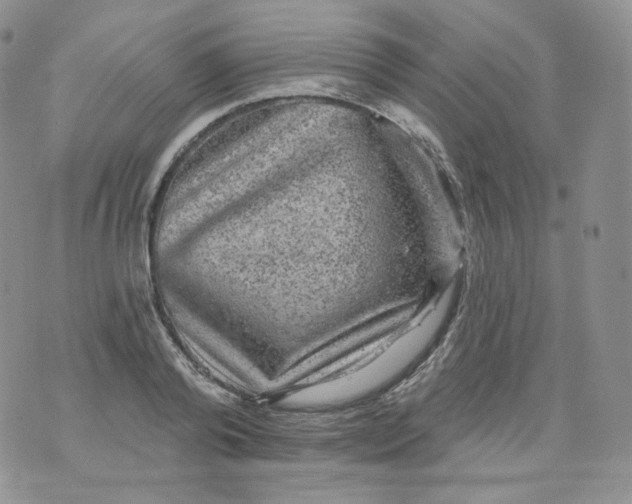 X0000070860792200607071856