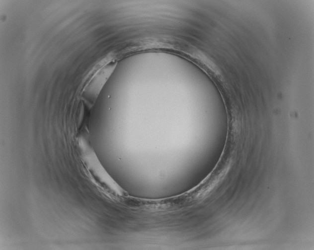 X0000070860793200607071856