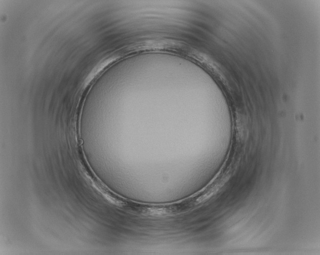 X0000070860794200607071856