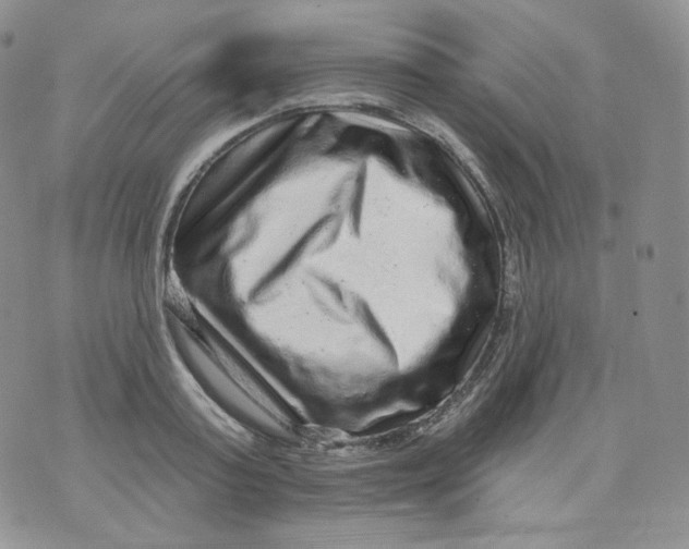 X0000070860795200607071856