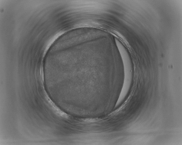 X0000070860796200607071856