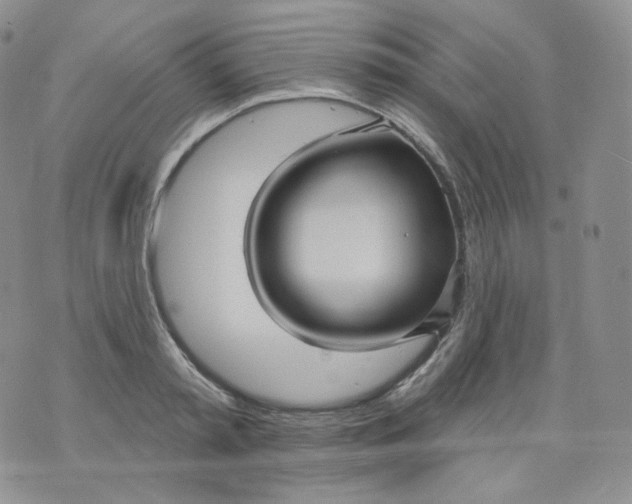 X0000070860797200607071856