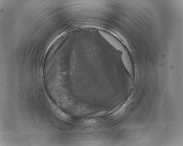 X0000070860798200607071856