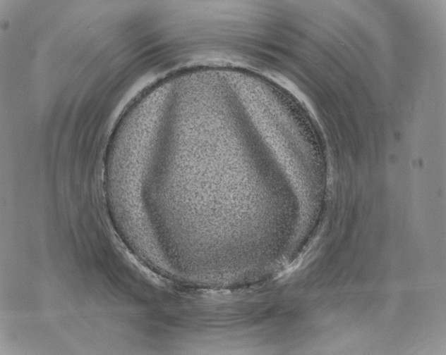 X0000070860799200607071856