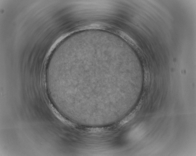 X0000070860800200607071856