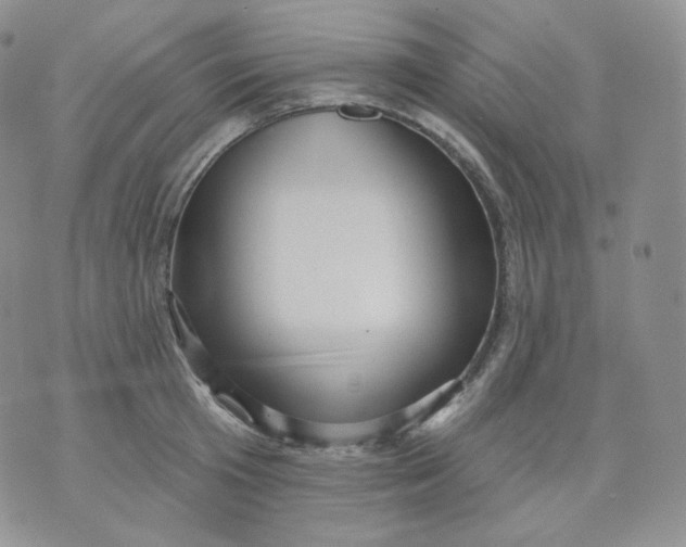 X0000070860801200607071856