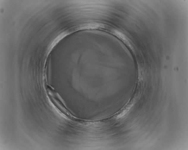 X0000070860802200607071856