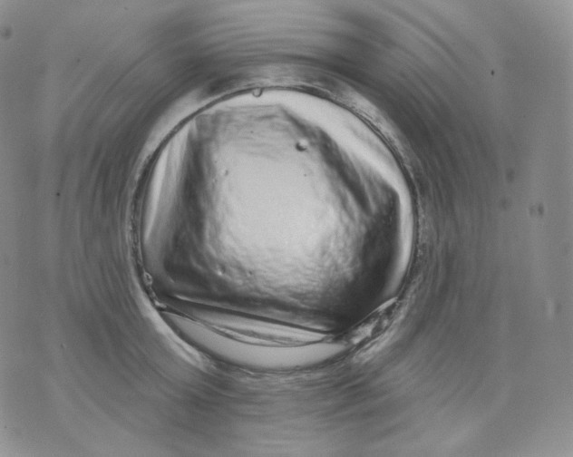 X0000070860803200607071856