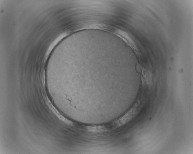 X0000070860804200607071856