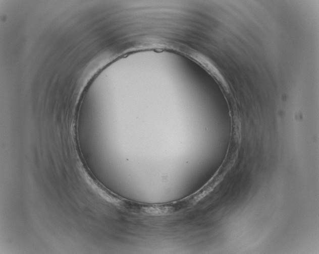 X0000070860805200607071856