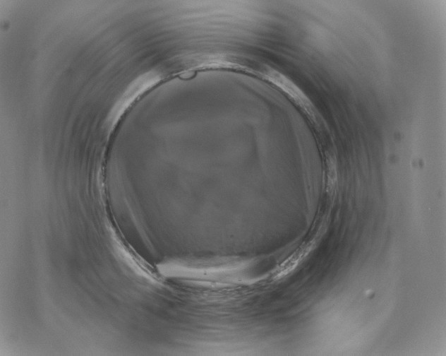 X0000070860806200607071856