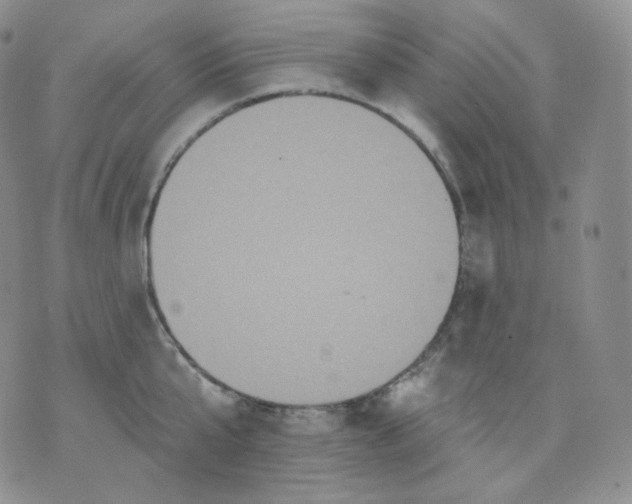 X0000070860807200607071856