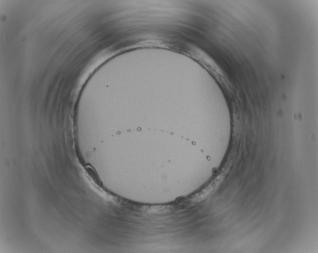 X0000070860808200607071856