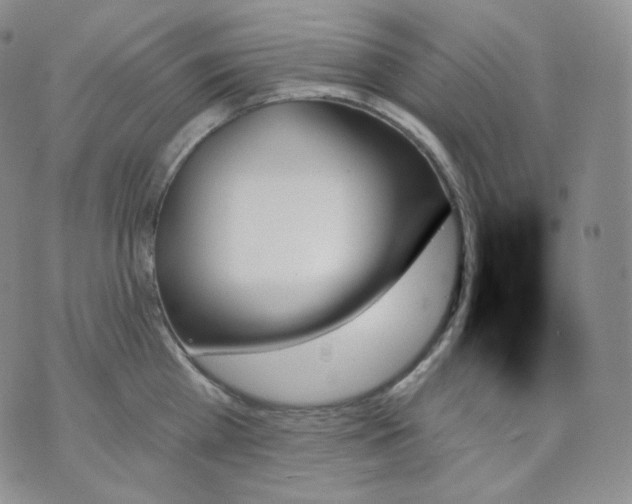 X0000070860809200607071856