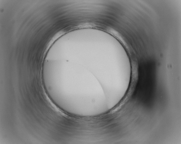 X0000070860810200607071856