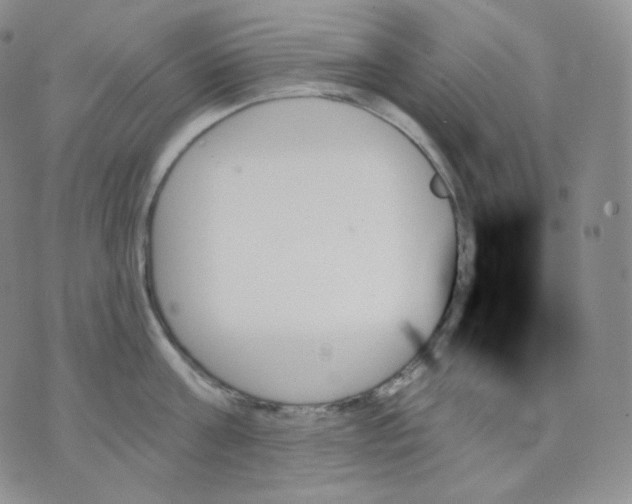 X0000070860811200607071856