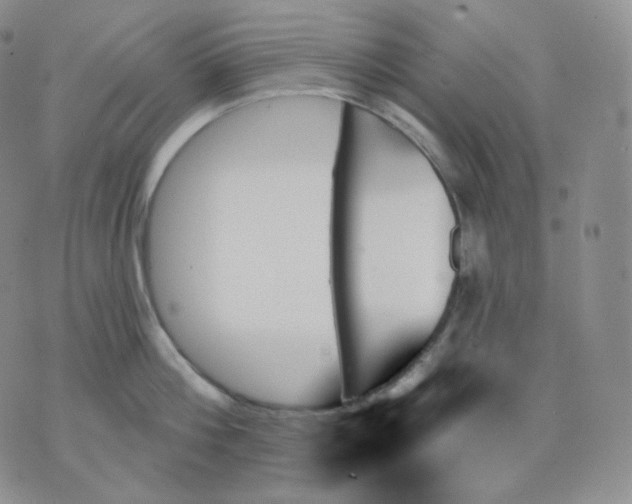 X0000070860812200607071856