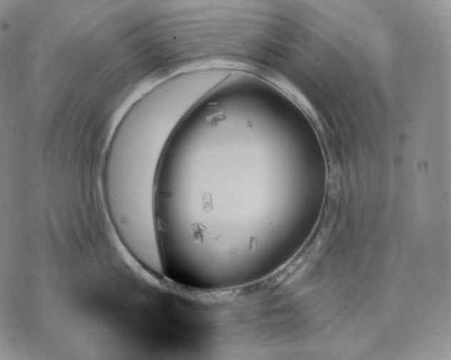 X0000070860813200607071856