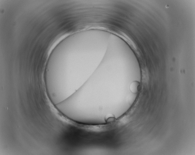 X0000070860814200607071856