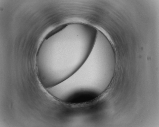 X0000070860815200607071856