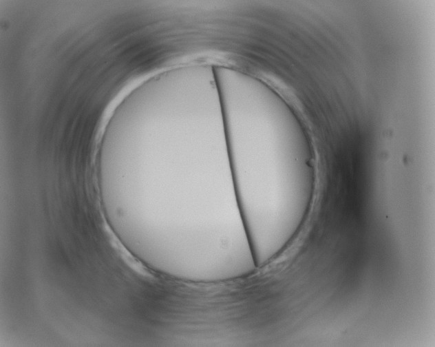 X0000070860816200607071856