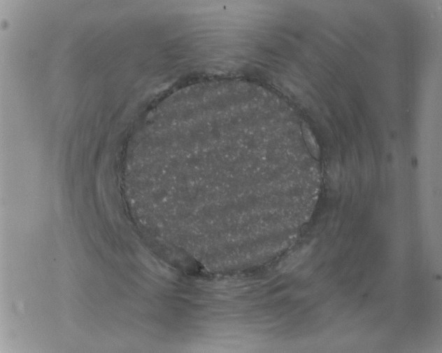 X0000070860817200607071855