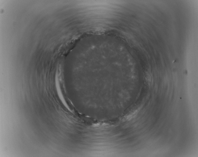 X0000070860818200607071855