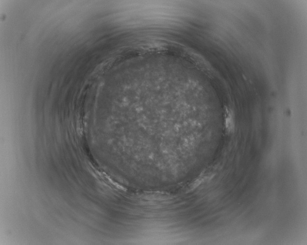 X0000070860819200607071855