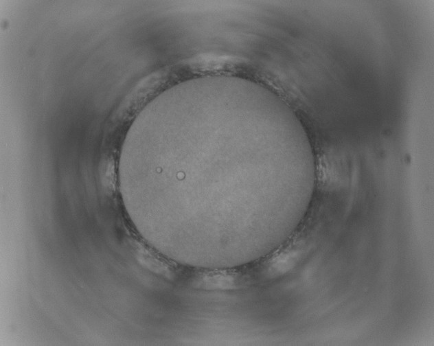 X0000070860820200607071855