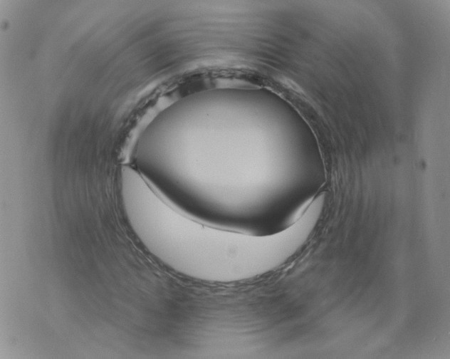 X0000070860822200607071855