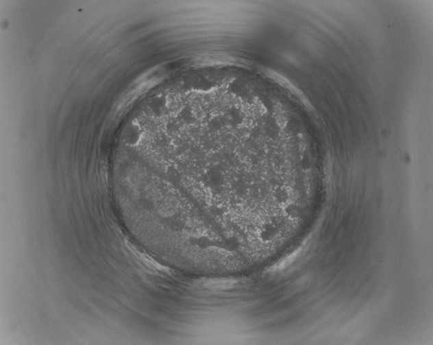 X0000070860825200607071855