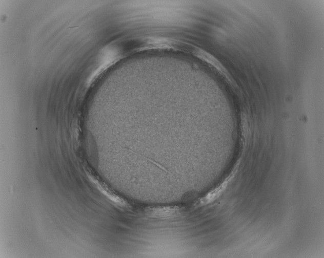 X0000070860826200607071855