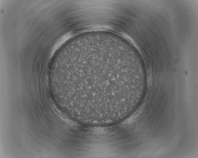 X0000070860827200607071855