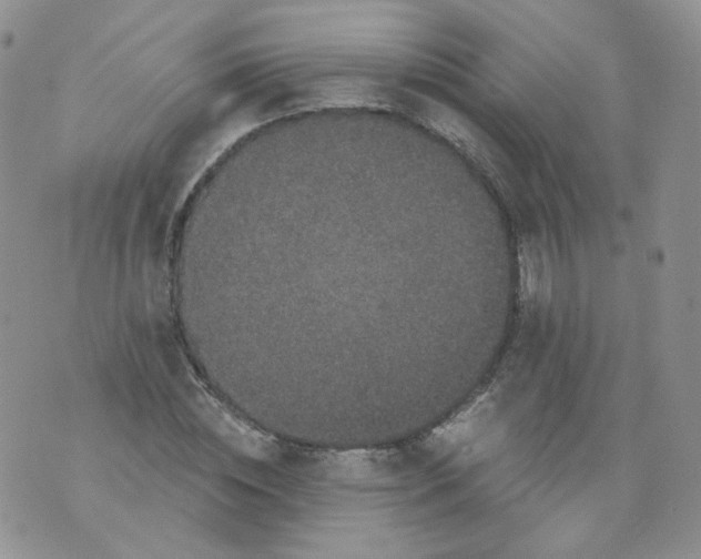 X0000070860828200607071855