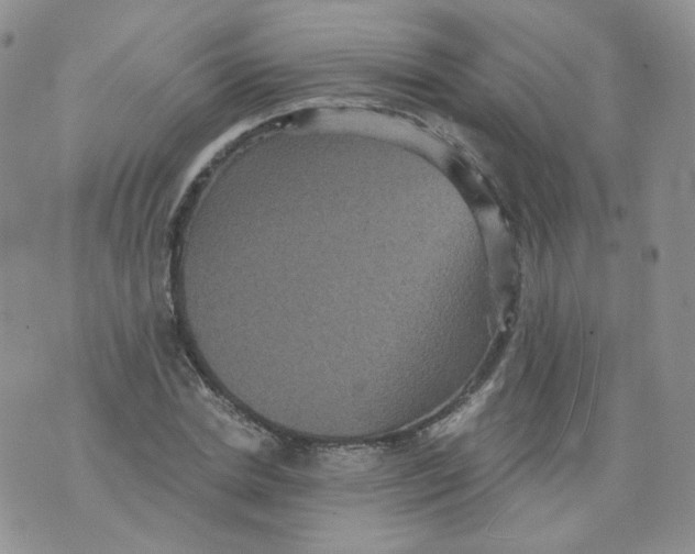 X0000070860830200607071855