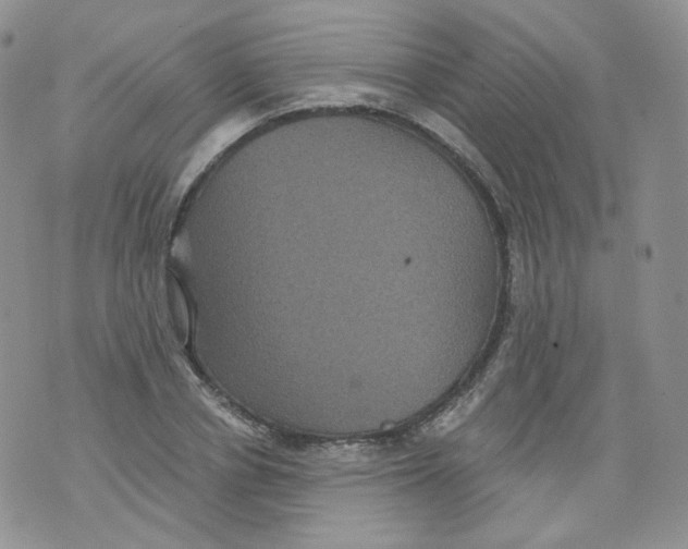 X0000070860834200607071855