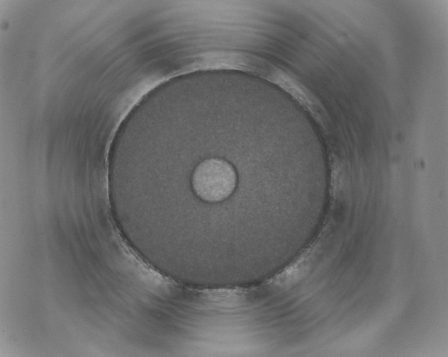 X0000070860836200607071855