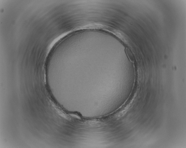 X0000070860838200607071855