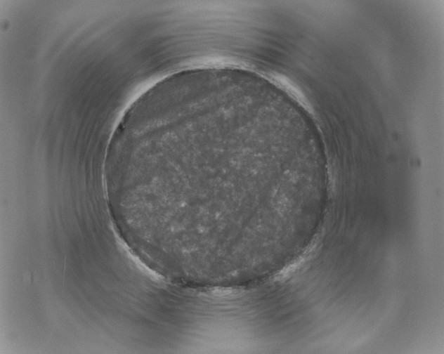 X0000070860839200607071855