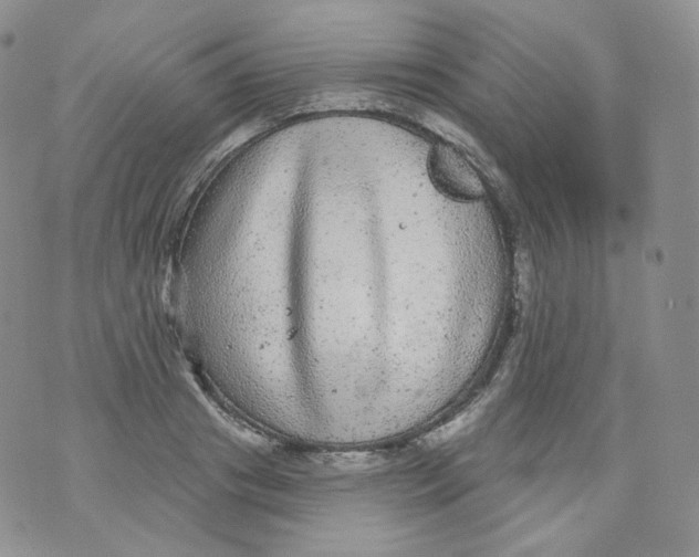 X0000070860841200607071855