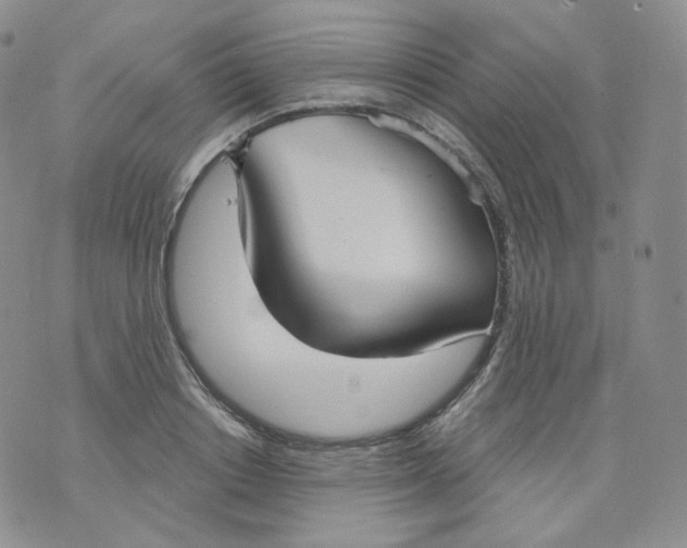 X0000070860842200607071855