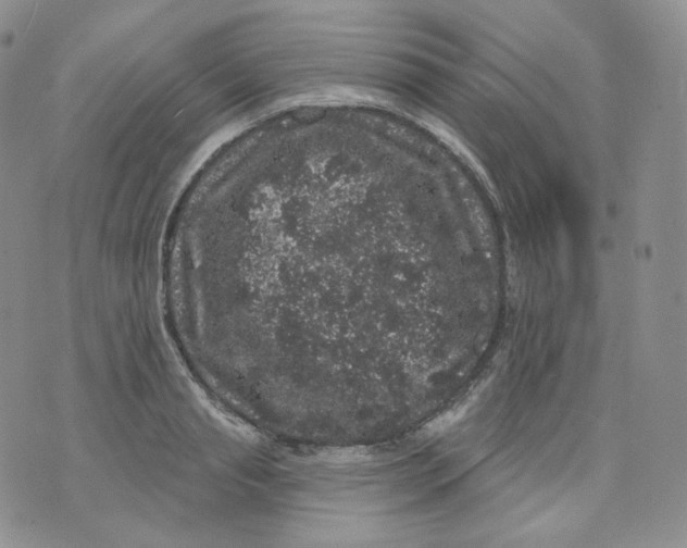 X0000070860845200607071856