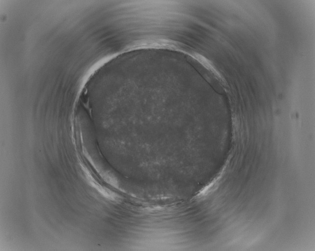 X0000070860846200607071856