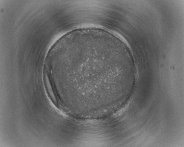 X0000070860847200607071856