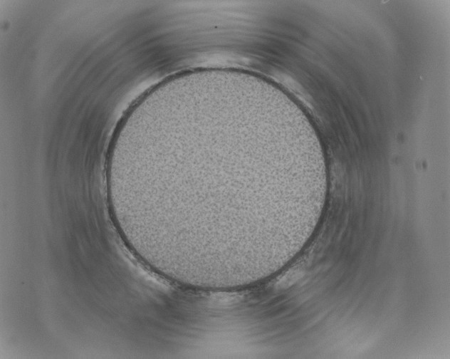 X0000070860848200607071856