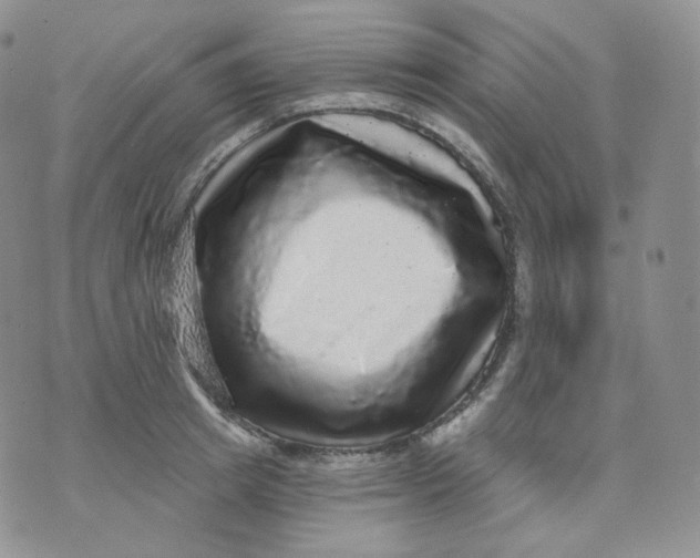 X0000070860849200607071856