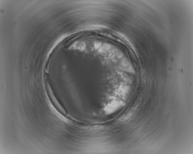 X0000070860851200607071856