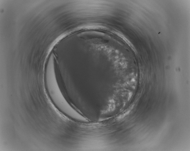 X0000070860853200607071856