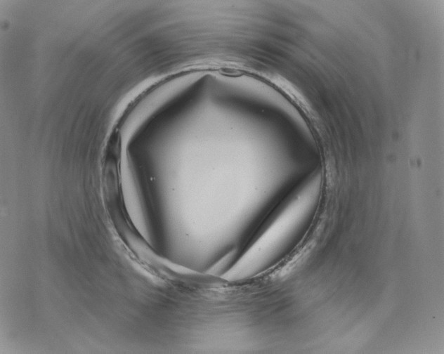 X0000070860854200607071856